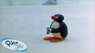 Best Episodes from Season 2 | Pingu - Official Channel | Cartoons For Kids