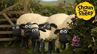 🌾🐑 Shaun the Sheep’s Ultimate Farm Fun! – Family Cartoon Compilation | Full Episodes [60 Minutes]