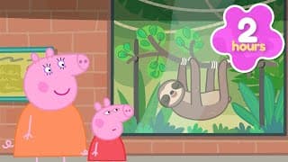 Peppa Spies on a SLOTH 🦥 Peppa Pig Full Episodes | 2 Hours of Kids Cartoons