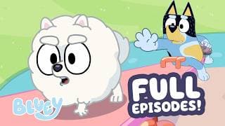 Seesaw + More! 🩷 | Bluey Full Episode Compilation 💙 | Bluey
