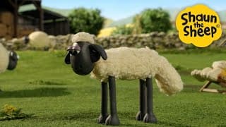 🤣🐑 Shaun the Sheep’s Laugh Out Loud Moments! – Kids Cartoon Compilation | Family Fun [60 Minutes]