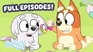Pass the Parcel + More! 🎁 | Bluey Full Episode Compilation 💙 | Bluey
