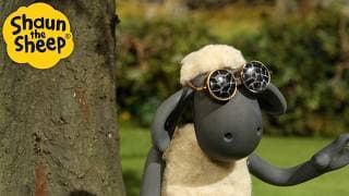 Laughs on the Meadow 🐑😄