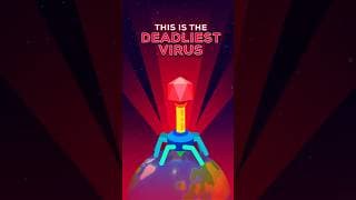 This Is the Deadliest Virus on Earth