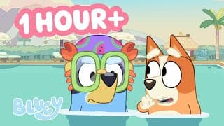 Bluey's Swim School 💧 | Clip Compilation ☀️ | Bluey