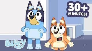 Bluey and Bingo on a Vacation Adventure 😎 | Clip Compilation 💙 | Bluey