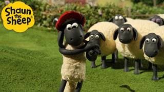 Mystery in the Farmyard 🕵️🐑