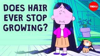 How long can hair grow? - Maksim Plikus