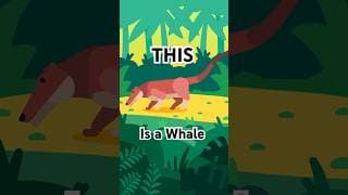Whales Evolved from This Animal