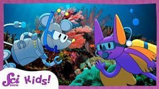 Coolest Ocean Facts! | SciShow Kids Compilation