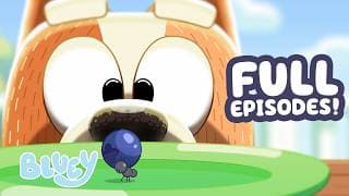 Bingo and the Blueberry Bug! 🐜 🫐 | Bluey FULL EPISODE Compilation 💙 | Bluey